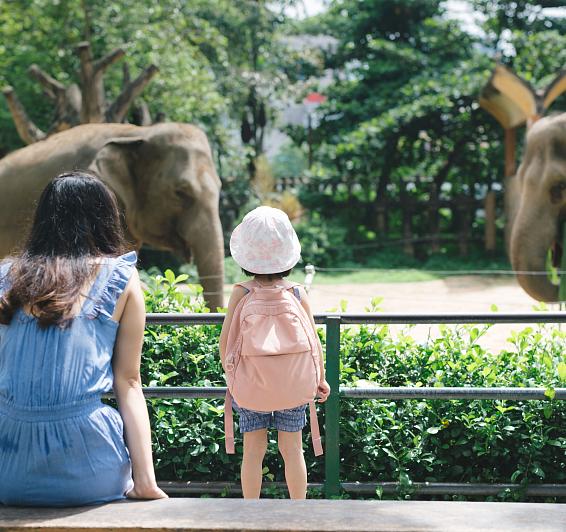 Zoo de Barcelona